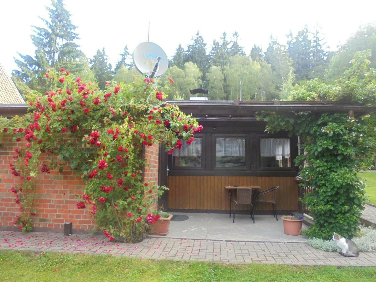 Bergfreiheit Villa Schierke Eksteriør bilde
